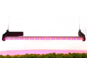 Світлодіодна фітолампа LED Spectra RED